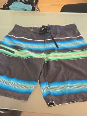 Ron Jon Men’s Charcoal Board Shorts with Blue & Green Stripes